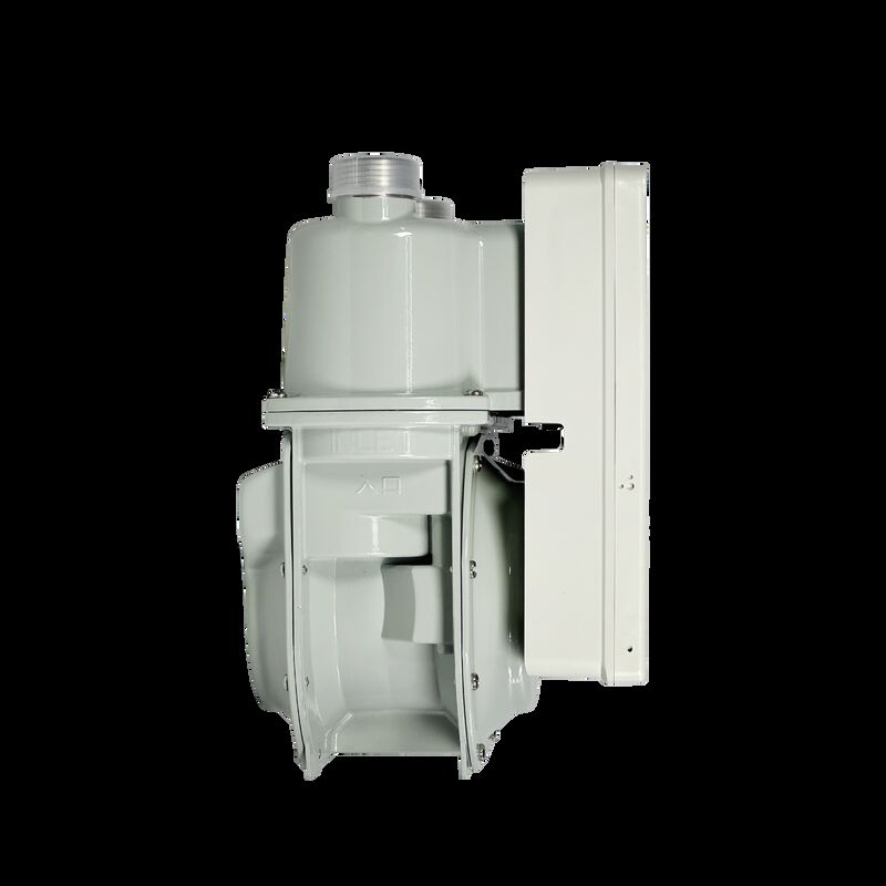 Akıllı Dijital Gaz Sayıcıları Enerji tasarrufu STS Ön ödemeli LORAWAN G1.6/G2.5/G4.0 Dikey Gaz Silindir Sayıcısı