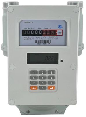 STS Standard All-in-One Ödeme öncesi gaz ölçümcüsü - M-PESA şarjını, NB-IoT uzaktan izlemeyi, konut kullanımı için taklit edilemez